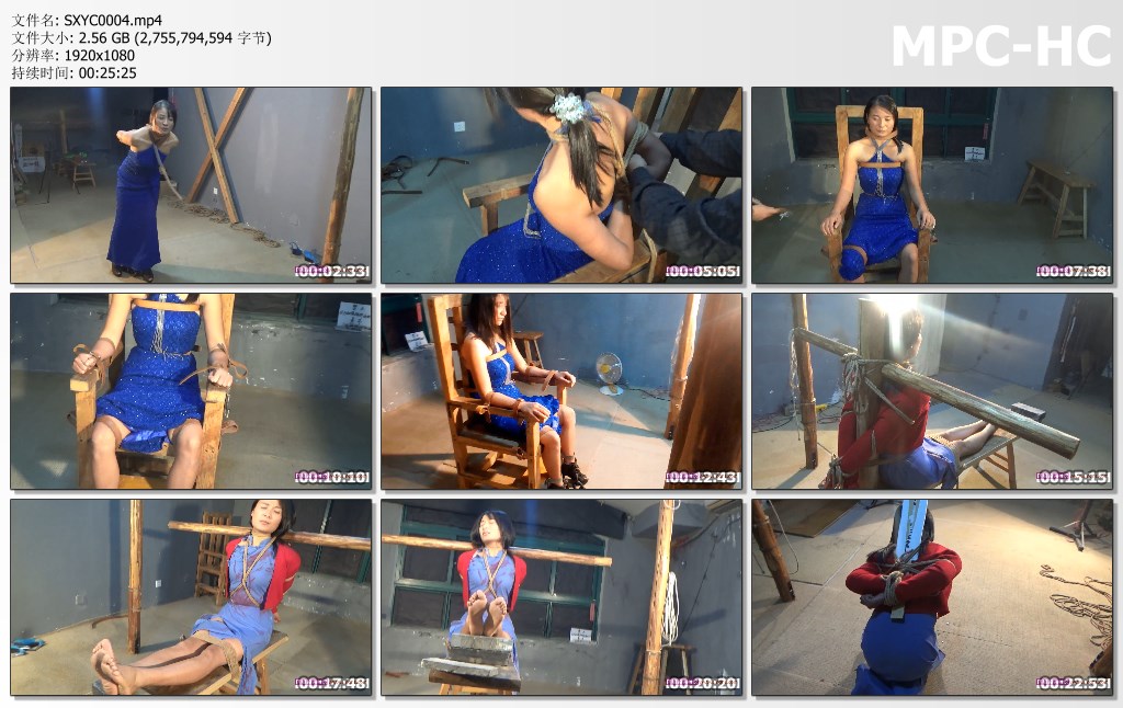 SXYC0004.mp4_thumbs.jpg